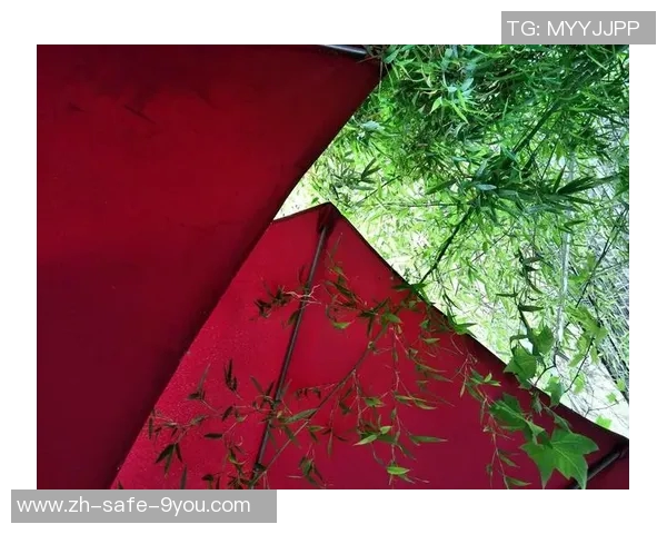 广州足球场拍照技巧与最佳角度分享让你的照片更具魅力